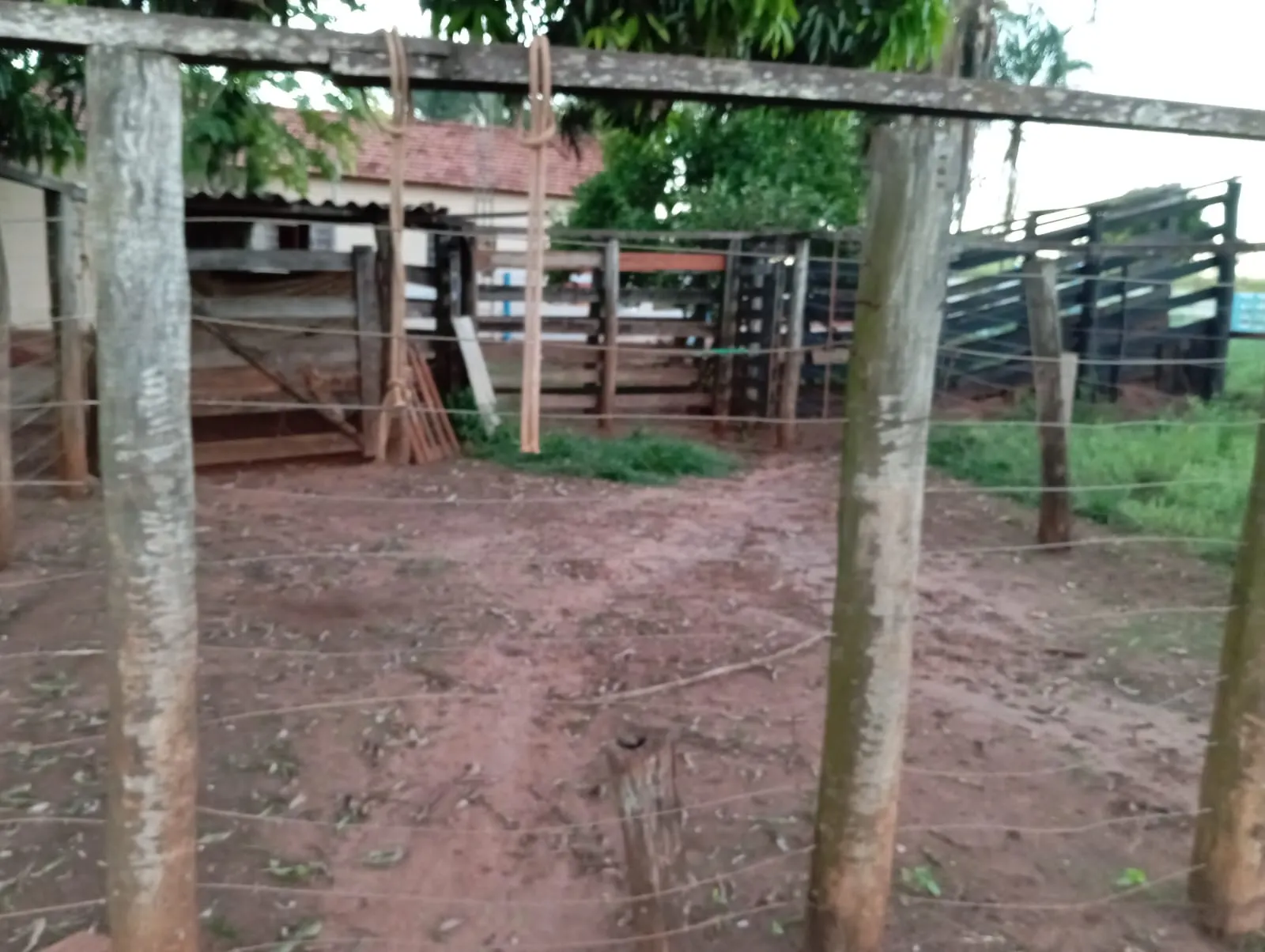 Sítio à venda de 12 ha em Paranaíba, MS, Brasil