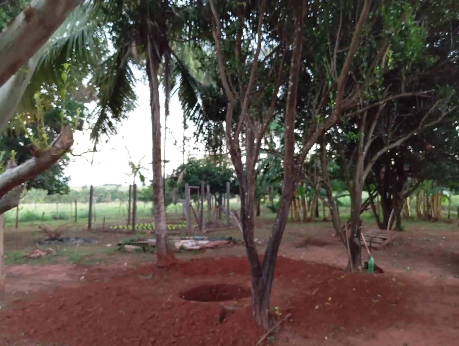 Sítio à venda de 12 ha em Paranaíba, MS, Brasil