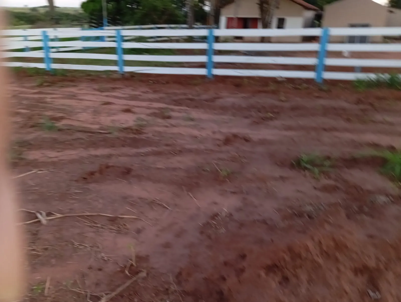 Sítio à venda de 12 ha em Paranaíba, MS, Brasil