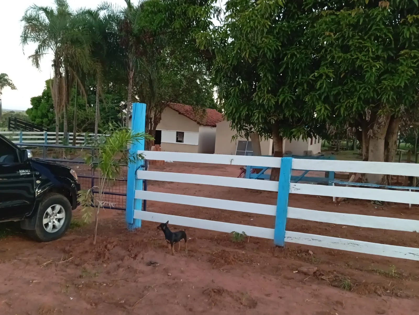 Sítio à venda de 12 ha em Paranaíba, MS, Brasil