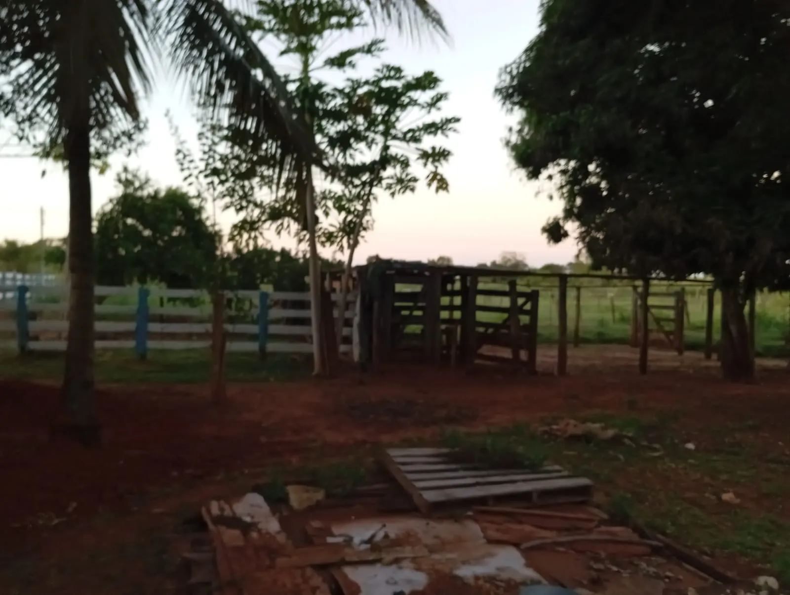 Sítio à venda de 12 ha em Paranaíba, MS, Brasil
