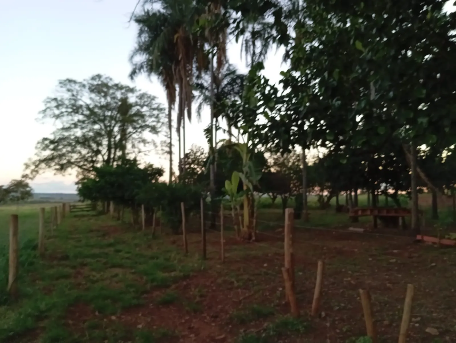 Sítio à venda de 12 ha em Paranaíba, MS, Brasil