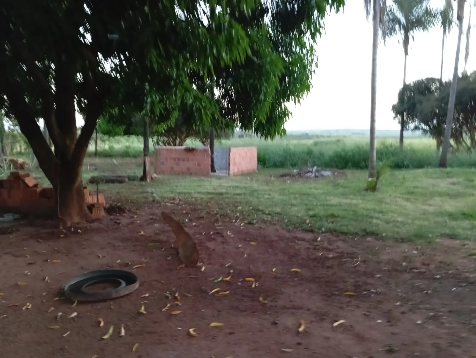 Sítio à venda de 12 ha em Paranaíba, MS, Brasil