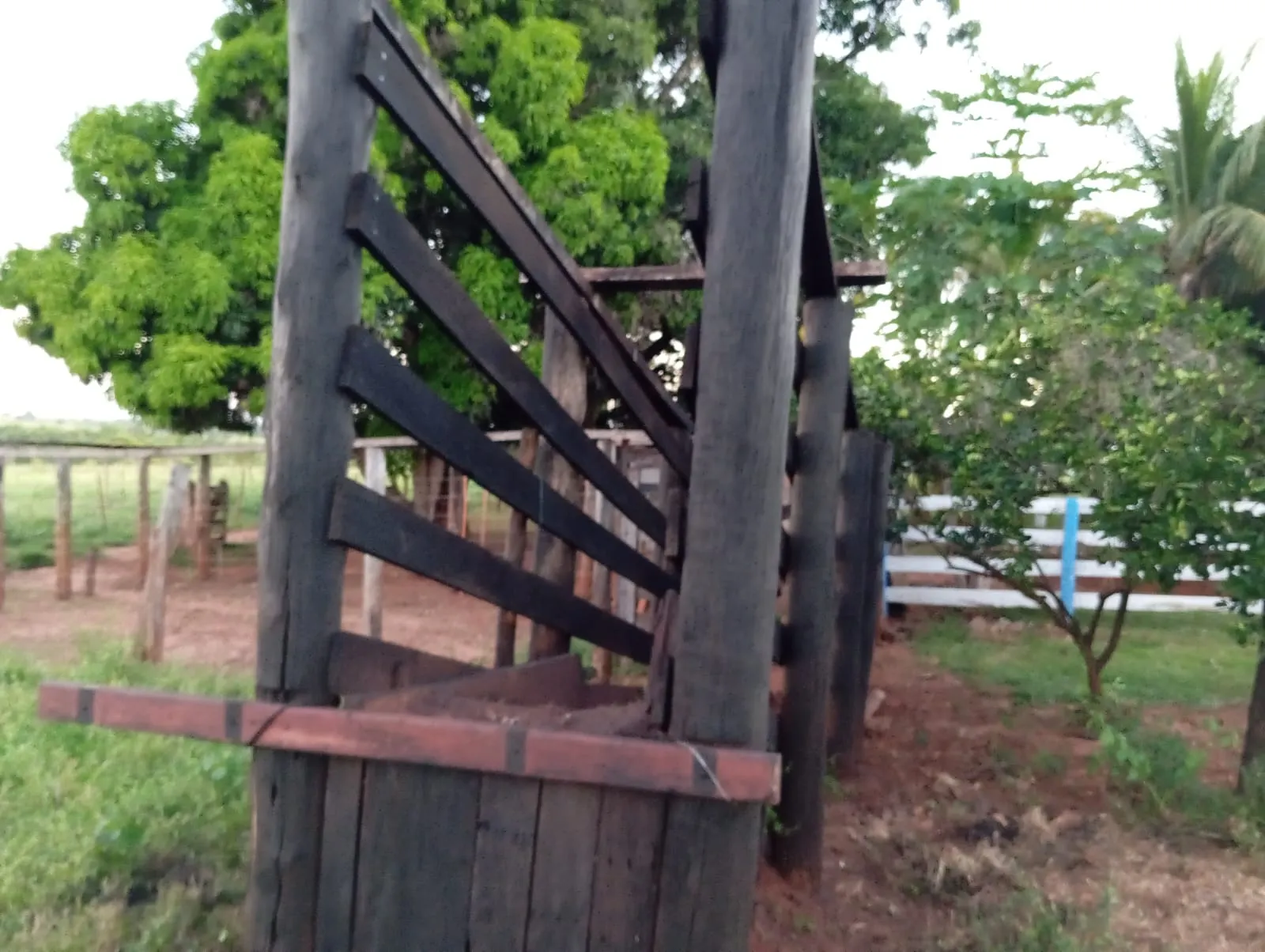 Sítio à venda de 12 ha em Paranaíba, MS, Brasil