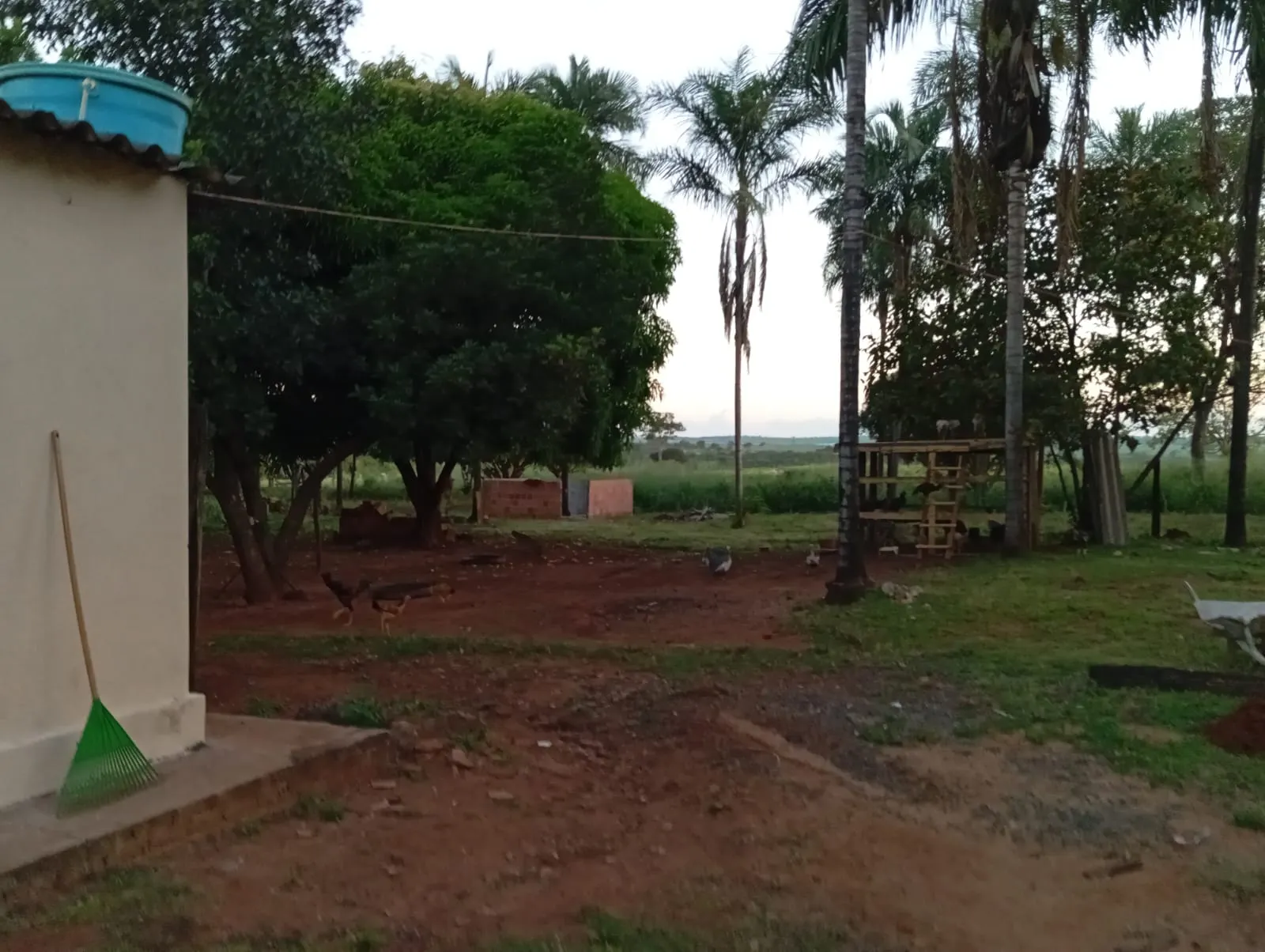 Sítio à venda de 12 ha em Paranaíba, MS, Brasil