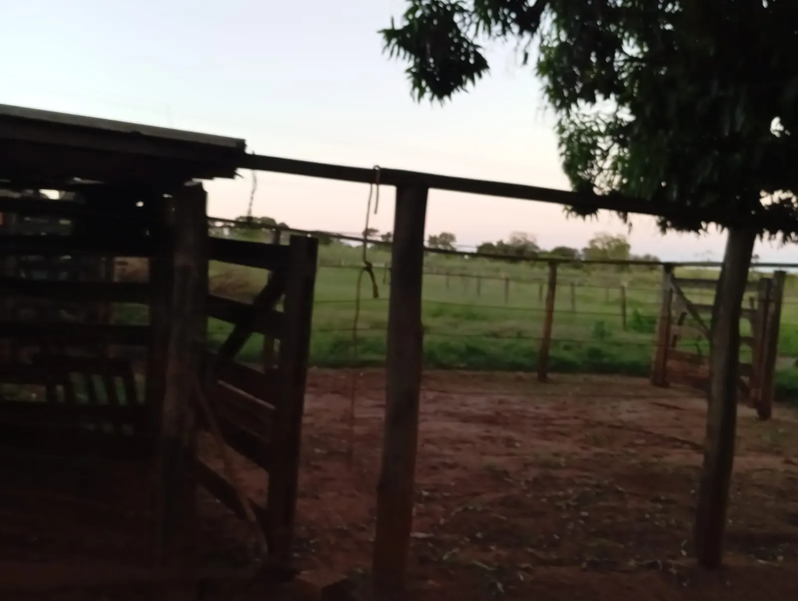 Sítio à venda de 12 ha em Paranaíba, MS, Brasil