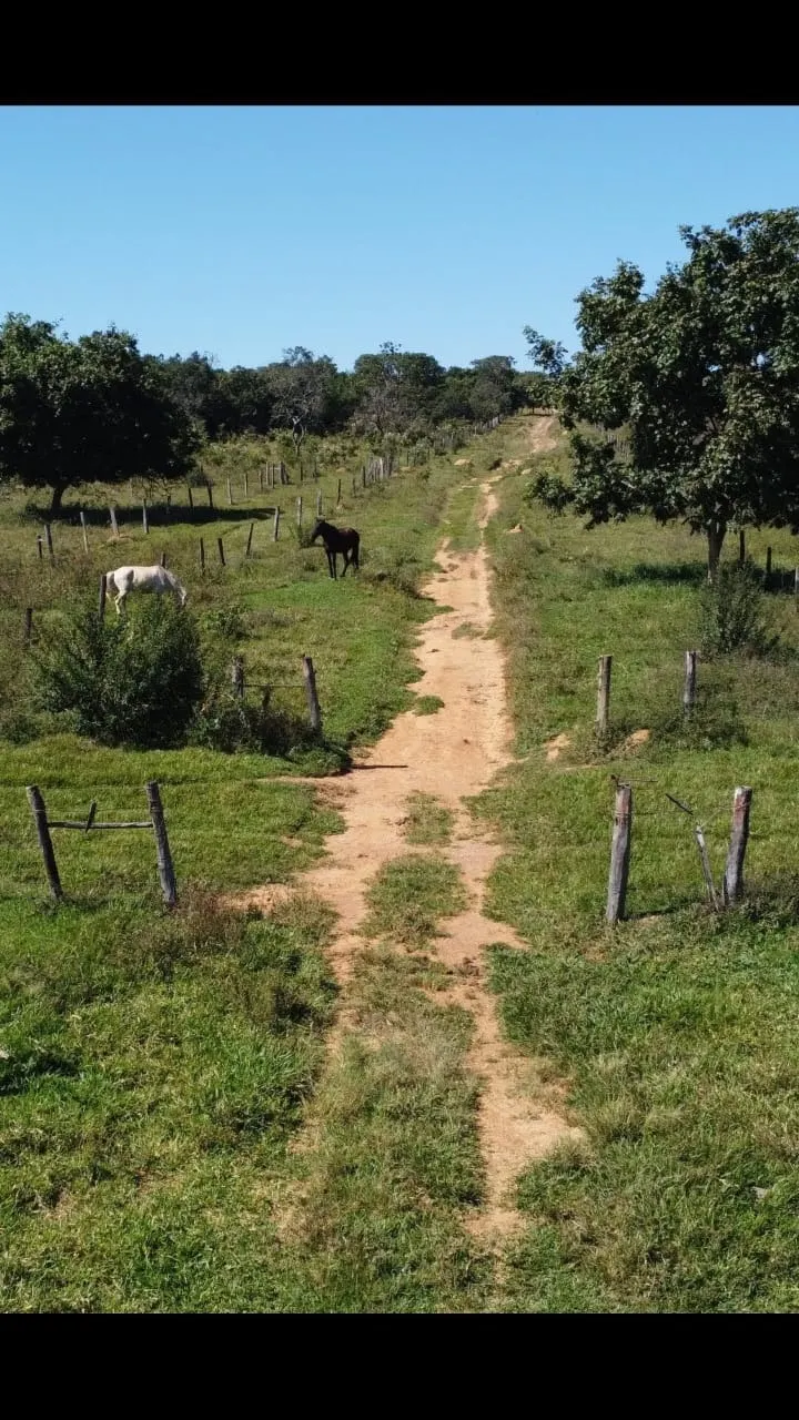 Fazenda à venda de 116 ha em Luziânia, GO, Brasil