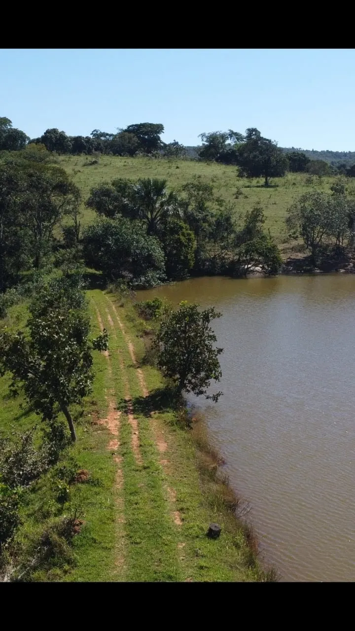 Fazenda à venda de 116 ha em Luziânia, GO, Brasil