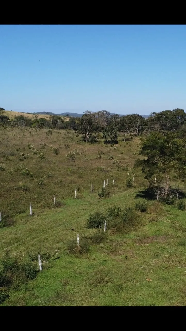 Fazenda à venda de 116 ha em Luziânia, GO, Brasil