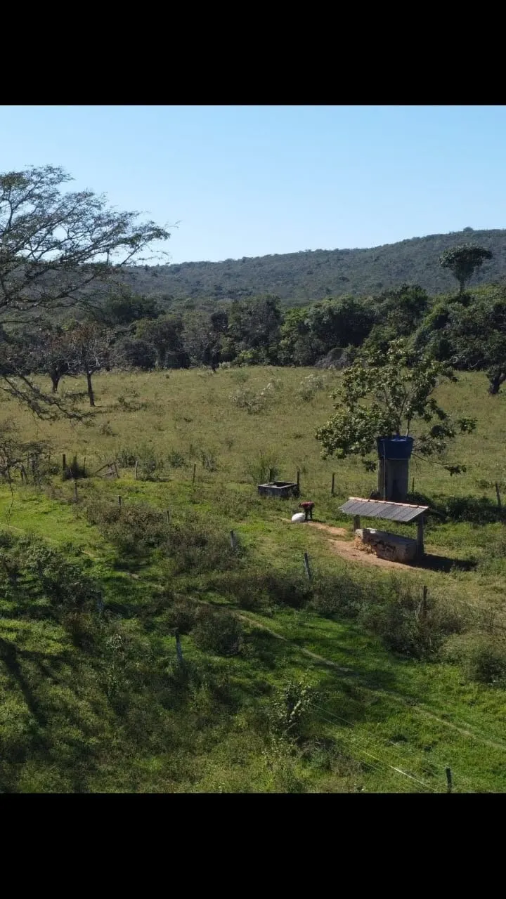 Fazenda à venda de 116 ha em Luziânia, GO, Brasil