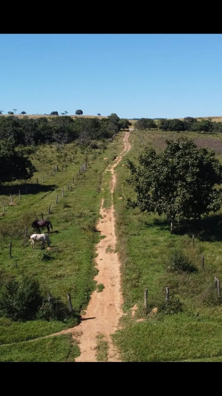 Fazenda à venda de 116 ha em Luziânia, GO, Brasil