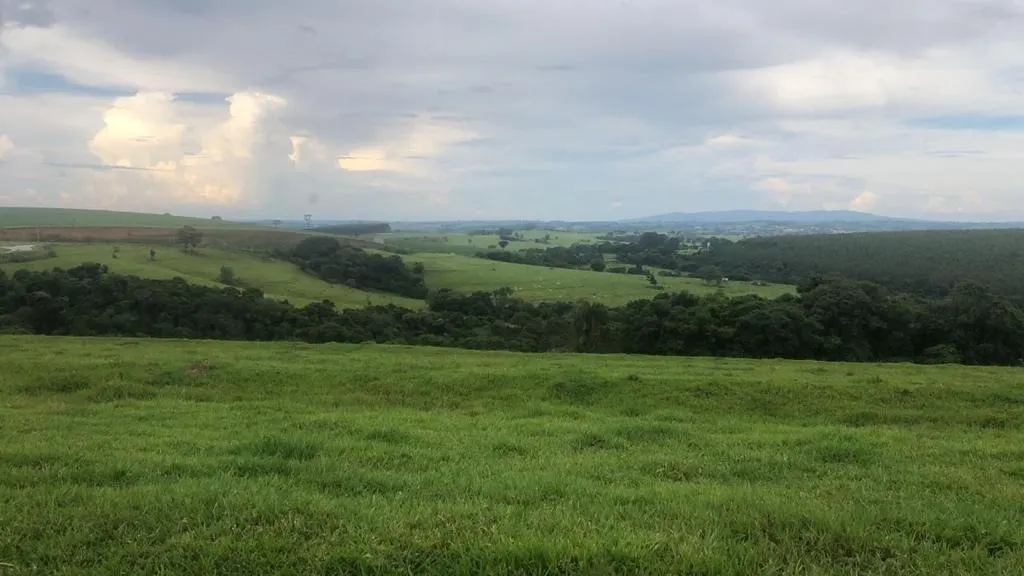 Fazenda à venda de 211 ha em Itapetininga, SP, Brasil