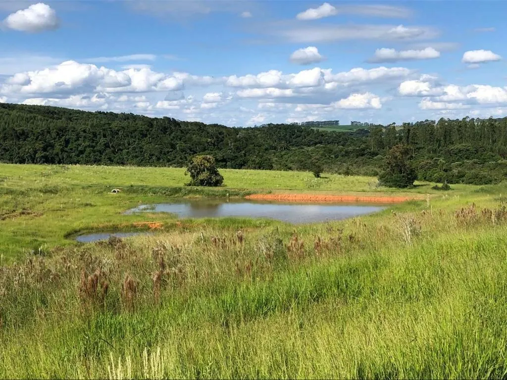 Fazenda à venda de 211 ha em Itapetininga, SP, Brasil