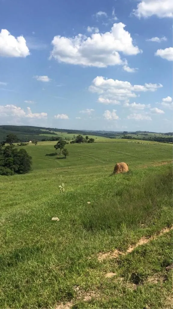 Fazenda à venda de 211 ha em Itapetininga, SP, Brasil