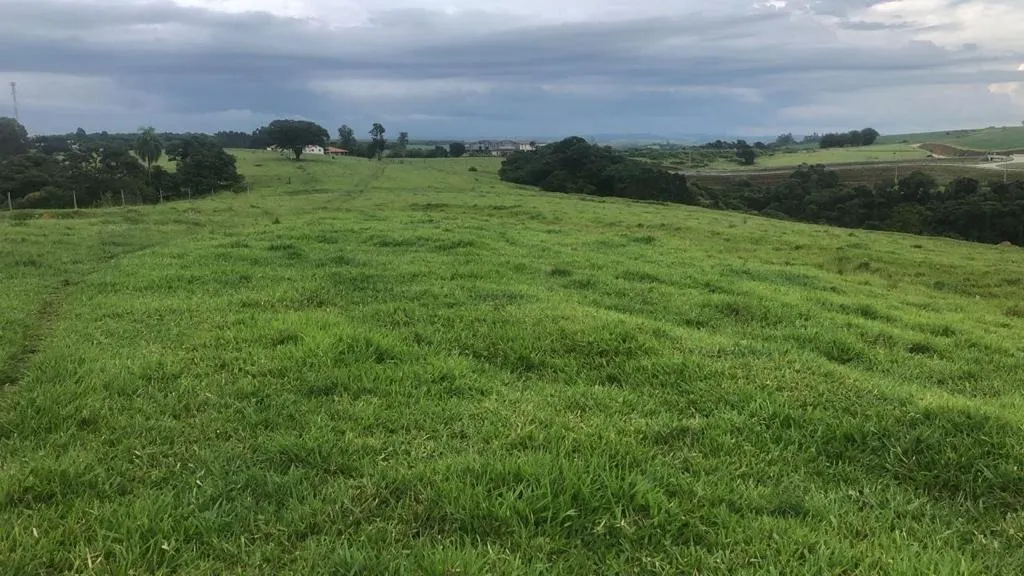 Fazenda à venda de 211 ha em Itapetininga, SP, Brasil
