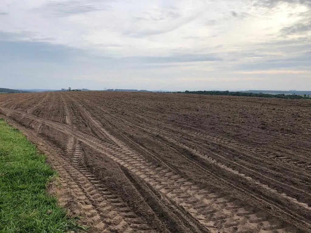 Fazenda à venda de 211 ha em Itapetininga, SP, Brasil