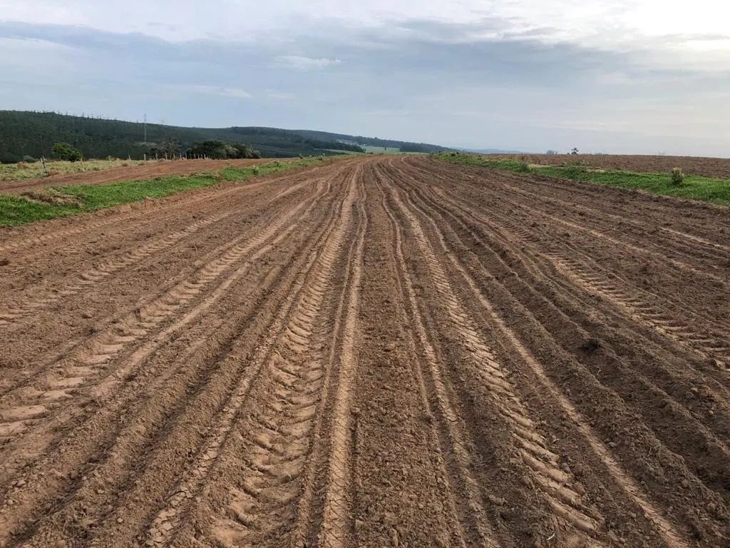 Fazenda à venda de 211 ha em Itapetininga, SP, Brasil