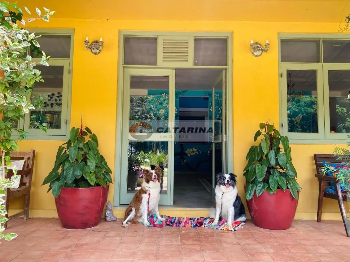 Small farm for sale of 47 acres in São Paulo, SP, Brazil