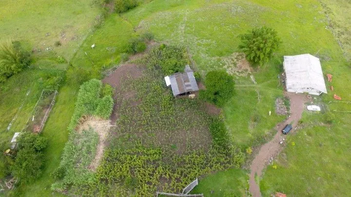 Sítio à venda de 6 ha em Santo Antônio da Patrulha, RS, Brasil