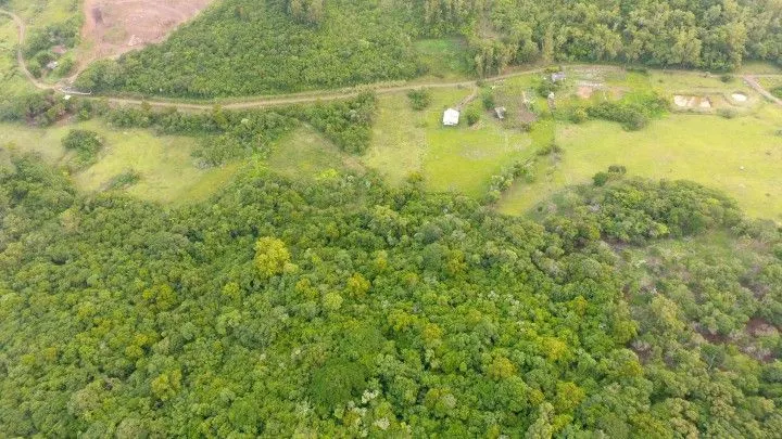 Sítio à venda de 6 ha em Santo Antônio da Patrulha, RS, Brasil