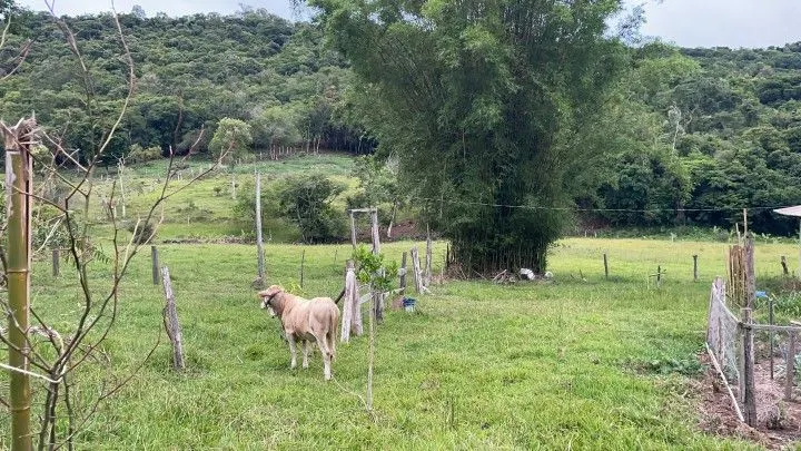 Sítio à venda de 6 ha em Santo Antônio da Patrulha, RS, Brasil