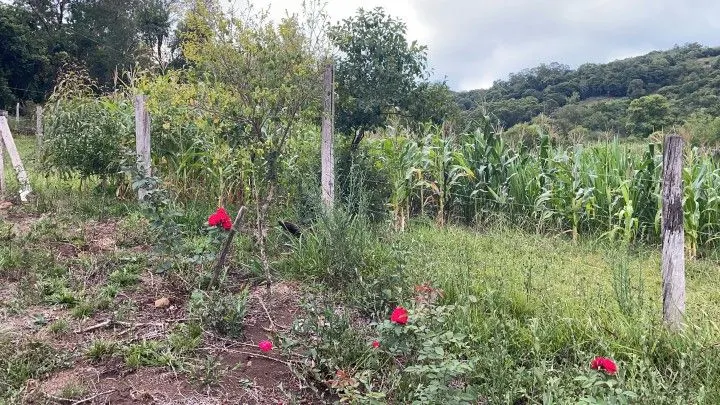 Sítio à venda de 6 ha em Santo Antônio da Patrulha, RS, Brasil