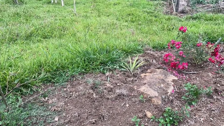 Sítio à venda de 6 ha em Santo Antônio da Patrulha, RS, Brasil