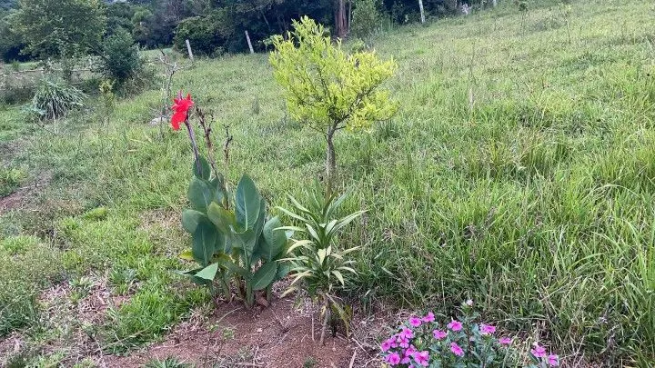 Sítio à venda de 6 ha em Santo Antônio da Patrulha, RS, Brasil