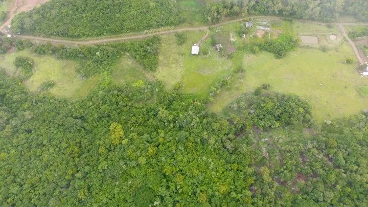 Sítio à venda de 6 ha em Santo Antônio da Patrulha, RS, Brasil