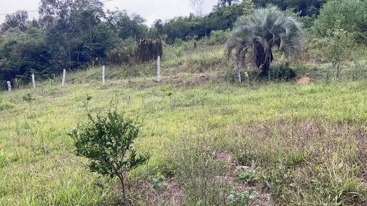 Sítio à venda de 6 ha em Santo Antônio da Patrulha, RS, Brasil