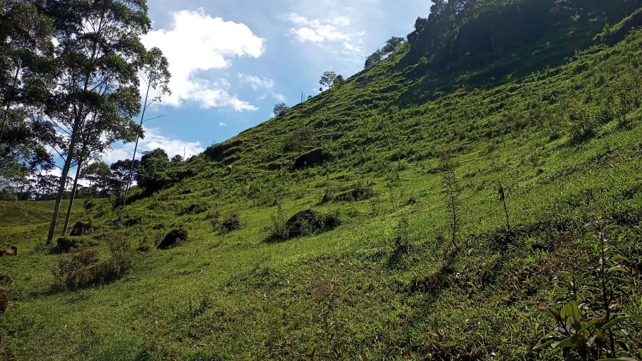 Sítio à venda de 15 ha em São José dos Campos, SP, Brasil