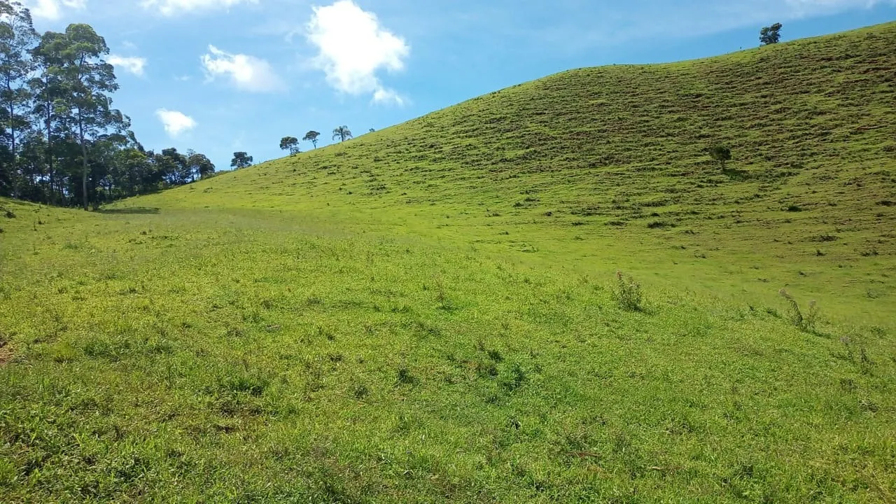 Sítio à venda de 15 ha em São José dos Campos, SP, Brasil