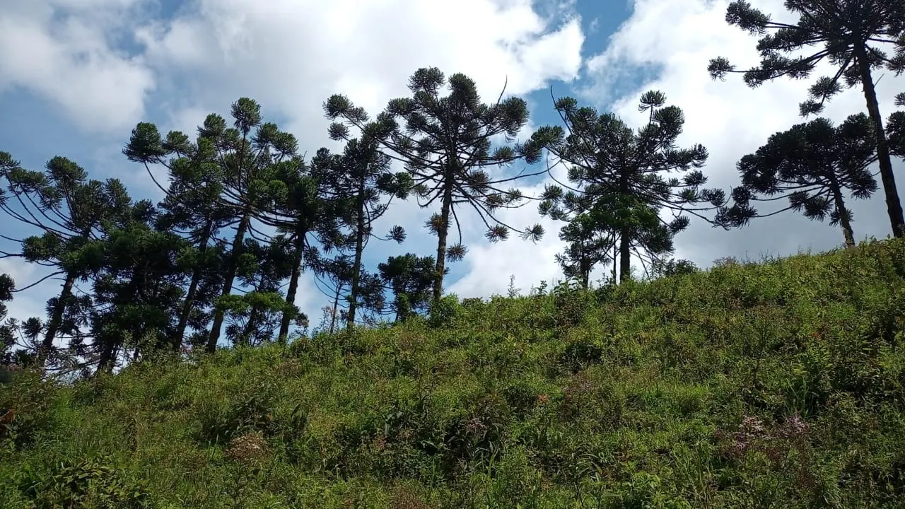 Sítio à venda de 15 ha em São José dos Campos, SP, Brasil