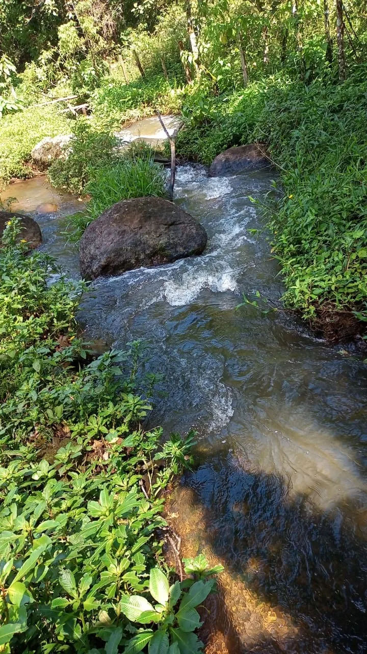 Sítio à venda de 15 ha em São José dos Campos, SP, Brasil