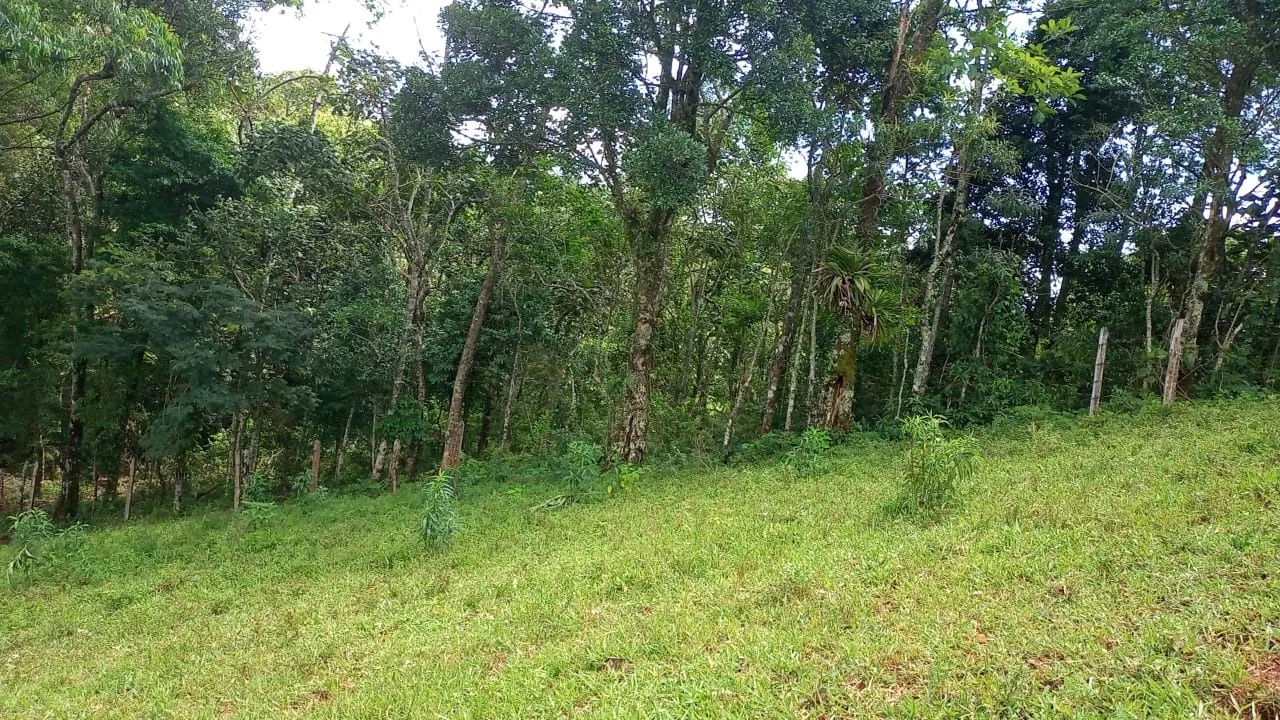 Sítio à venda de 15 ha em São José dos Campos, SP, Brasil