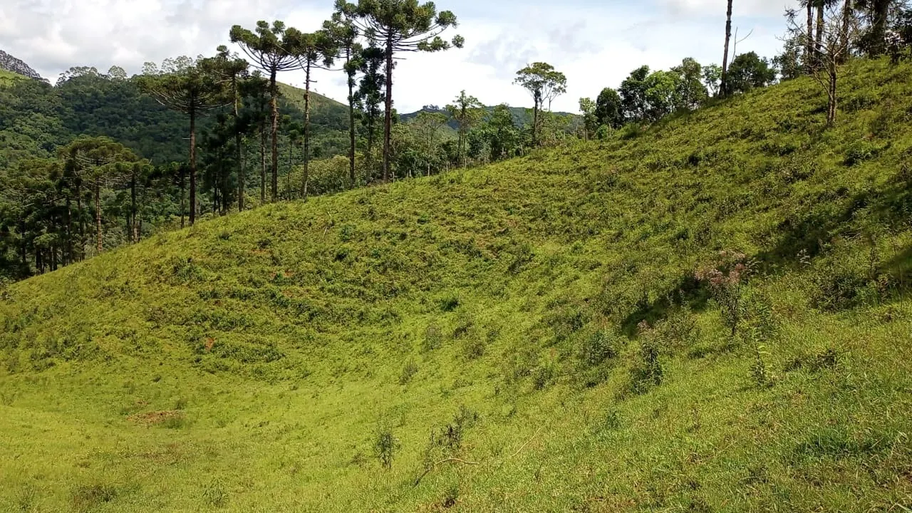 Sítio à venda de 15 ha em São José dos Campos, SP, Brasil