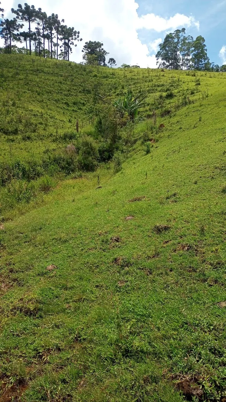 Sítio à venda de 15 ha em São José dos Campos, SP, Brasil