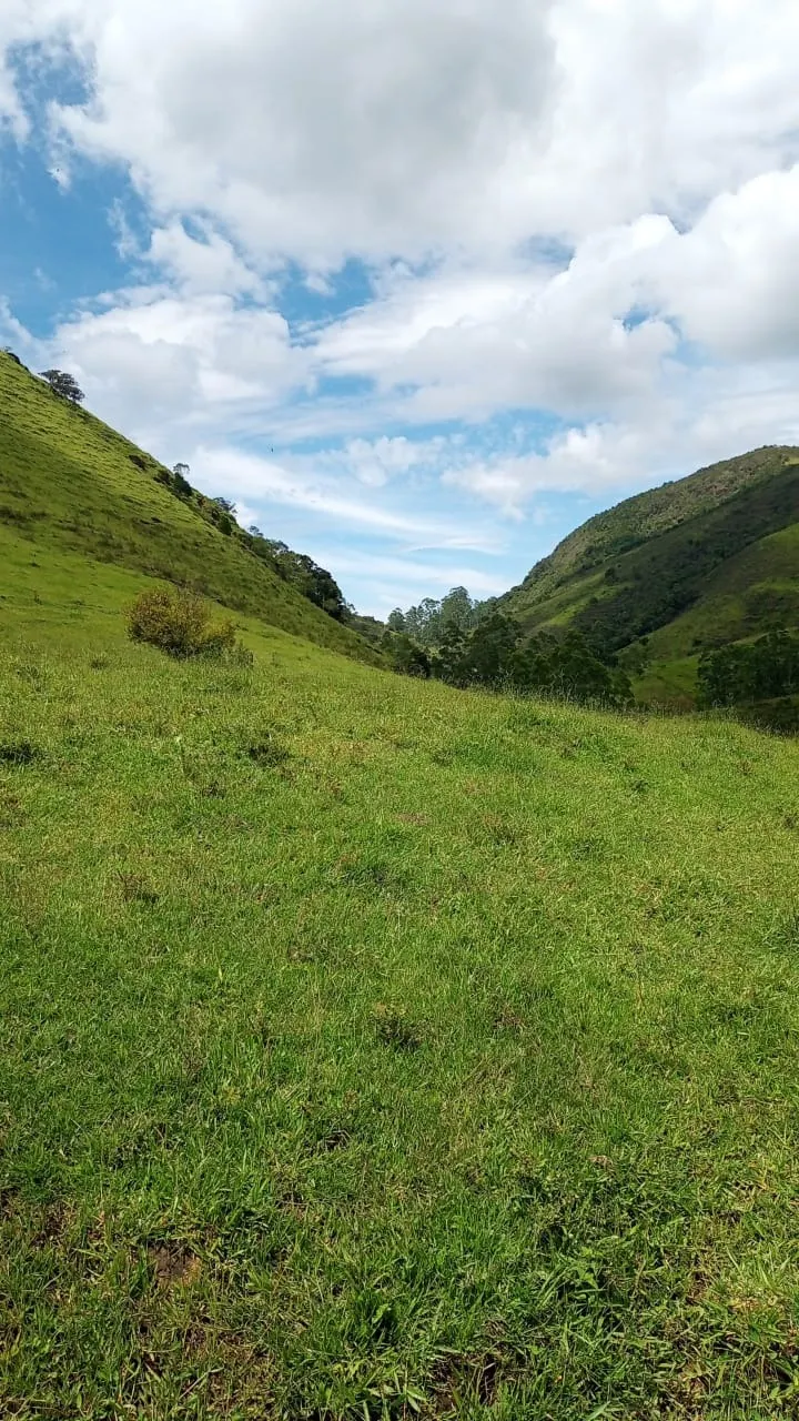 Sítio à venda de 15 ha em São José dos Campos, SP, Brasil
