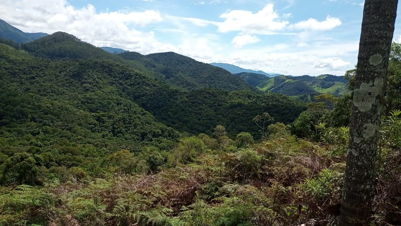 Sítio à venda de 15 ha em São José dos Campos, SP, Brasil