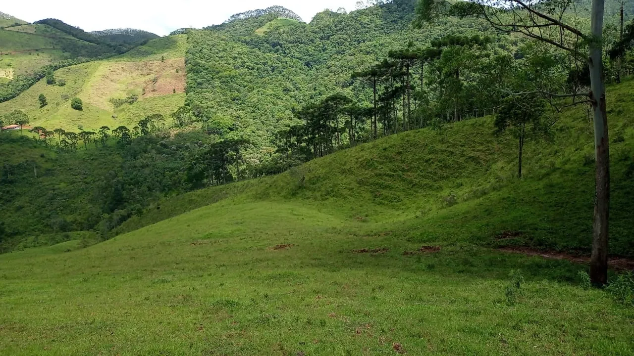 Sítio à venda de 15 ha em São José dos Campos, SP, Brasil