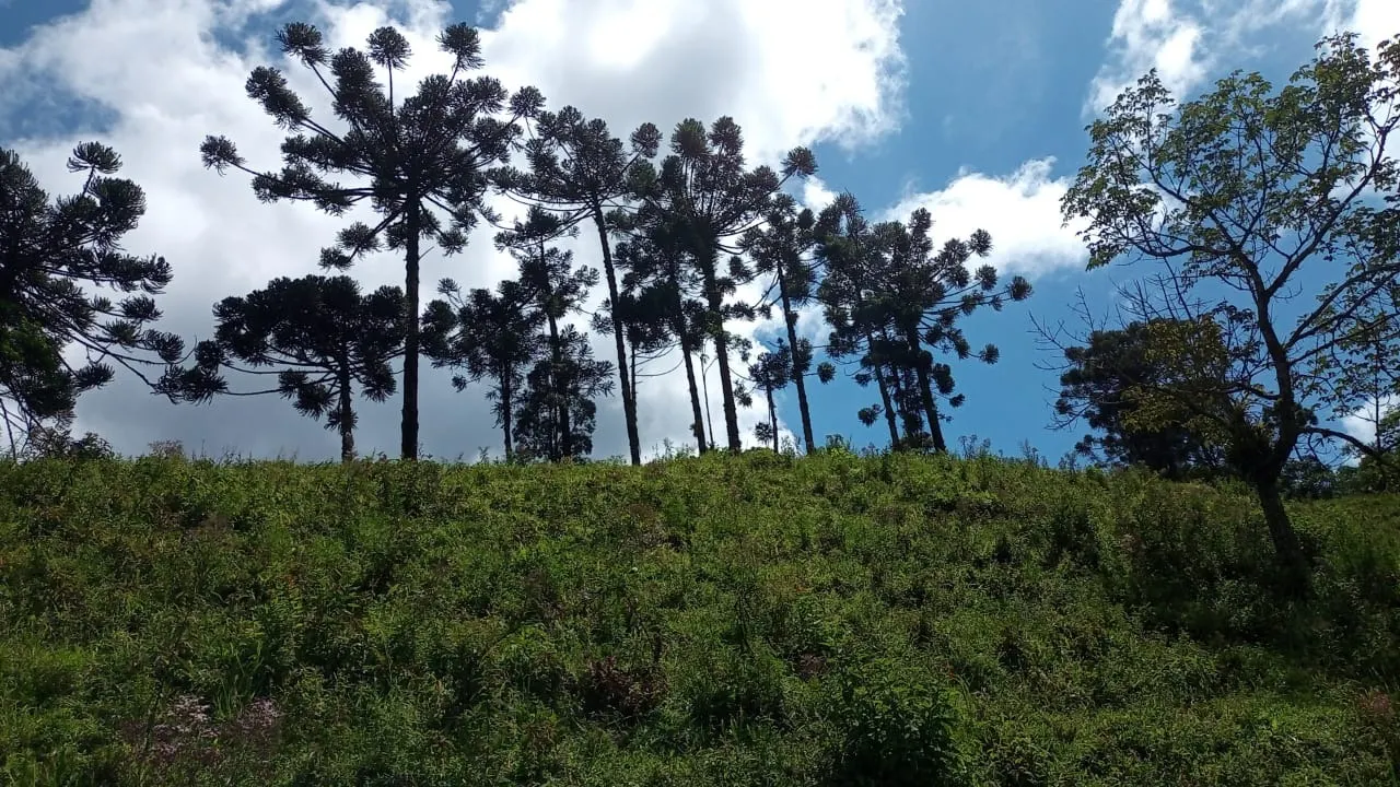 Sítio à venda de 15 ha em São José dos Campos, SP, Brasil
