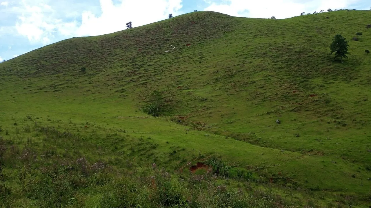 Sítio à venda de 15 ha em São José dos Campos, SP, Brasil