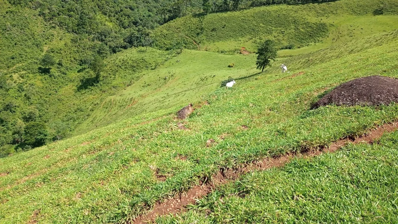 Sítio à venda de 15 ha em São José dos Campos, SP, Brasil