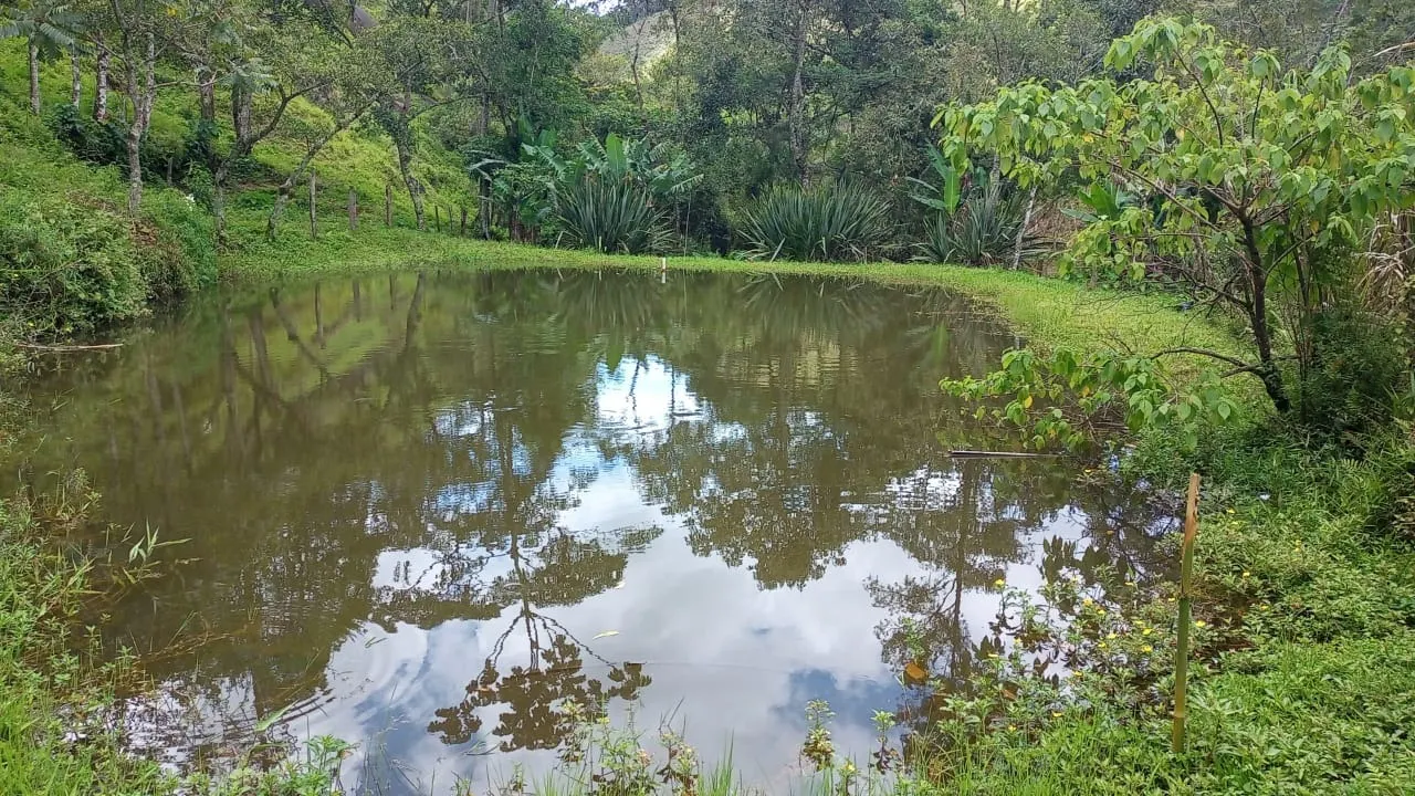 Sítio à venda de 15 ha em São José dos Campos, SP, Brasil
