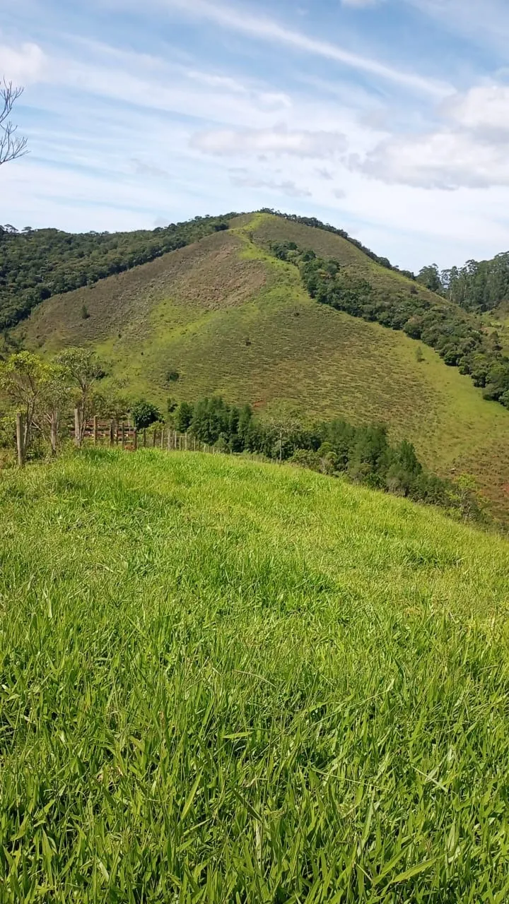 Sítio à venda de 15 ha em São José dos Campos, SP, Brasil