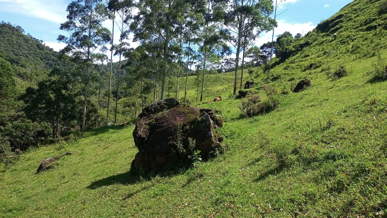 Sítio à venda de 15 ha em São José dos Campos, SP, Brasil