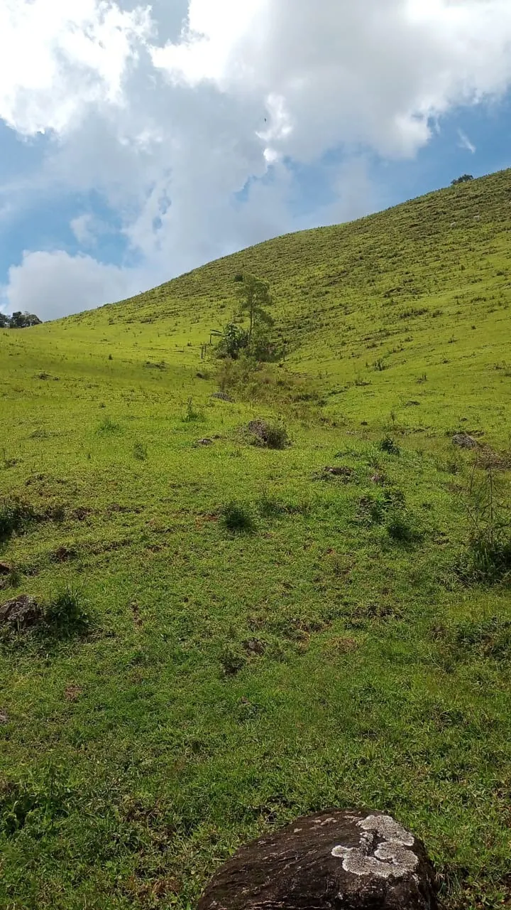 Sítio à venda de 15 ha em São José dos Campos, SP, Brasil