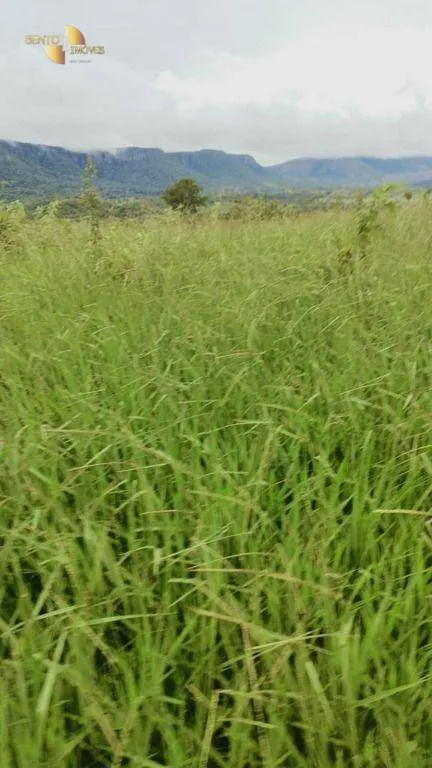 Fazenda à venda de 1.227 ha em Porto Esperidião, MT, Brasil