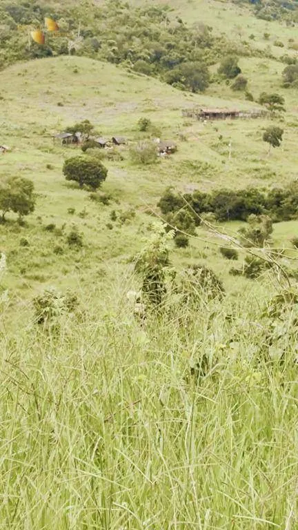 Fazenda à venda de 1.227 ha em Porto Esperidião, MT, Brasil