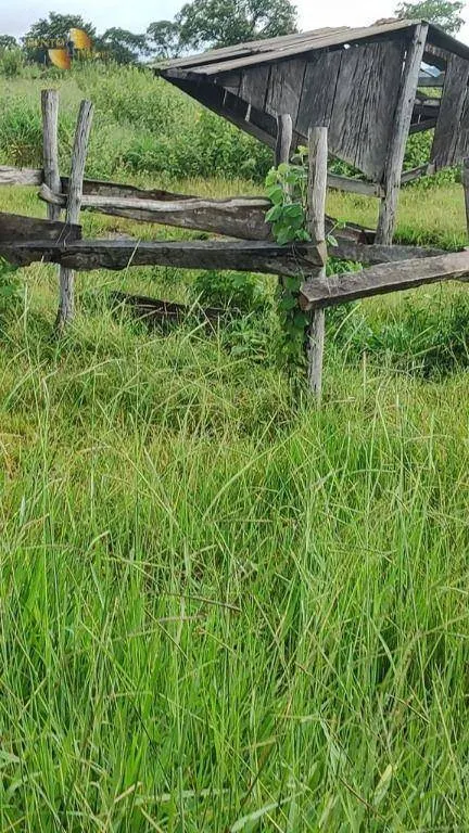 Fazenda à venda de 1.227 ha em Porto Esperidião, MT, Brasil